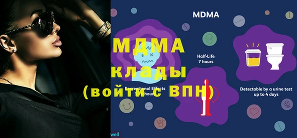 мдпв Богородск