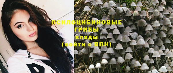 трава Богородицк