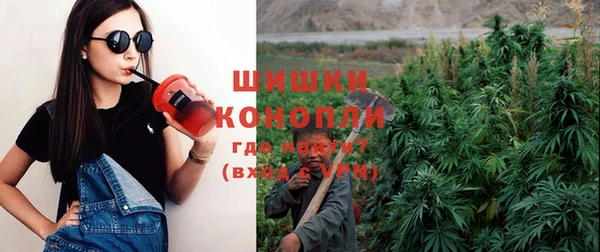 мдпв Богородск