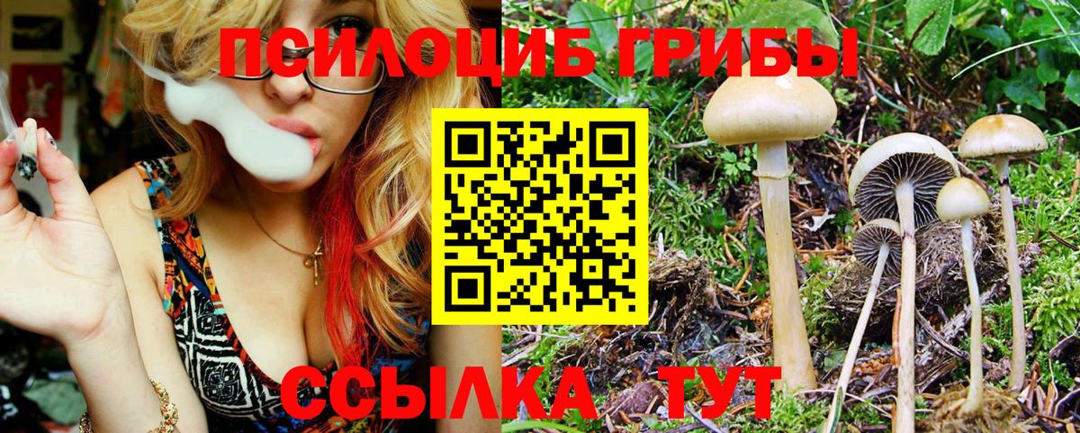 Галлюциногенные грибы GOLDEN TEACHER  Галлюциногенные грибы мицелий  Бугульма  купить закладку  Вход с VPN 