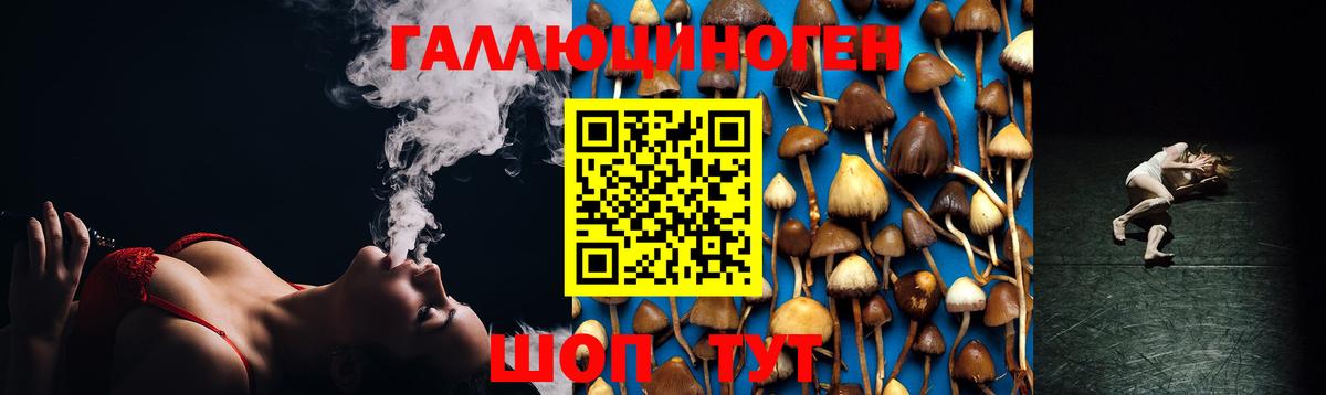 Галлюциногенные грибы MAGIC MUSHROOMS Бугульма